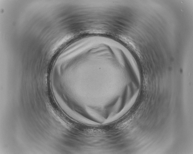 X0000088190535200706051209
