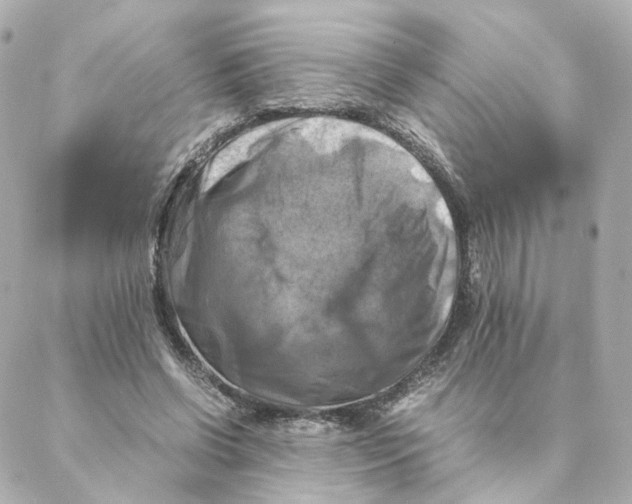 X0000088190542200706051209