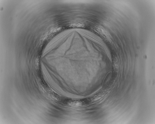 X0000088190551200706051209