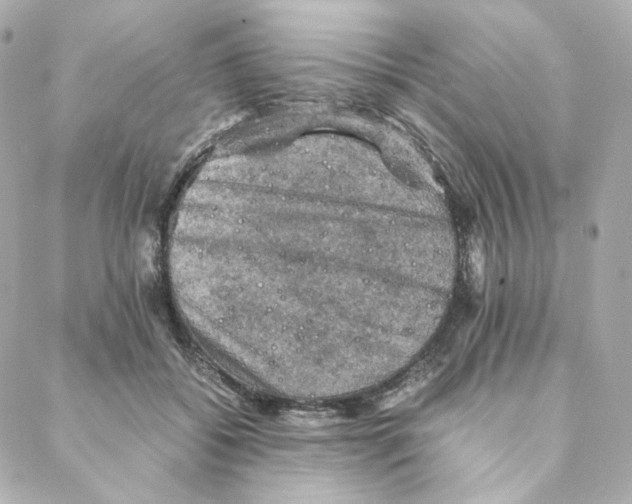 X0000088190556200706051209