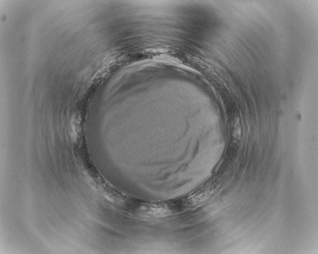 X0000088190559200706051209