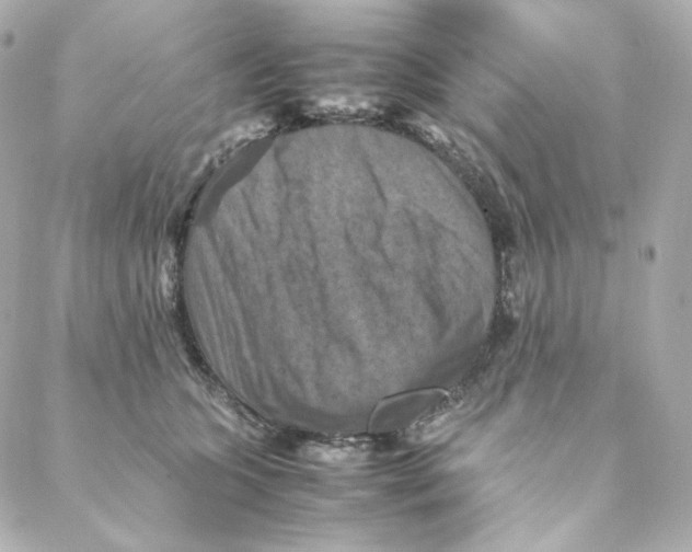 X0000088190563200706051209