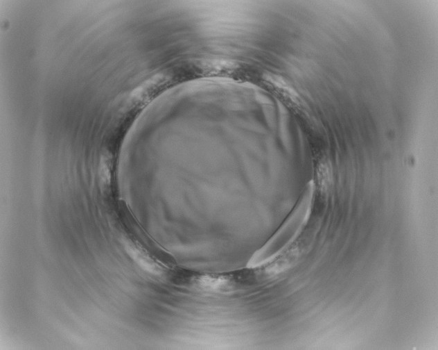 X0000088190570200706051210