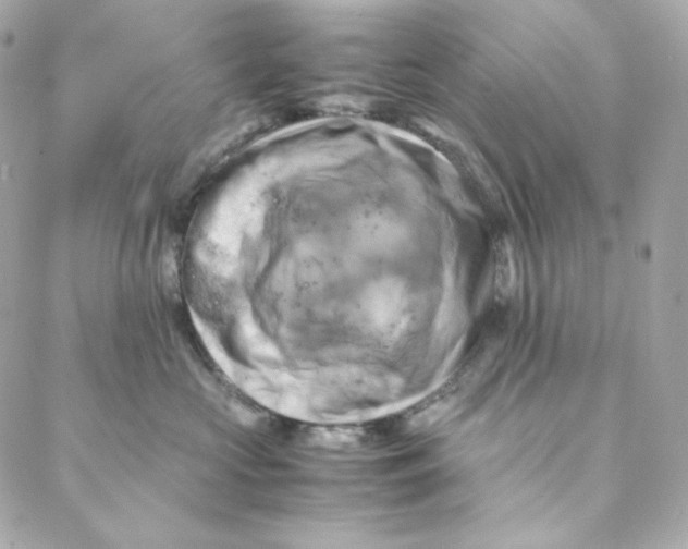 X0000088190573200706051210