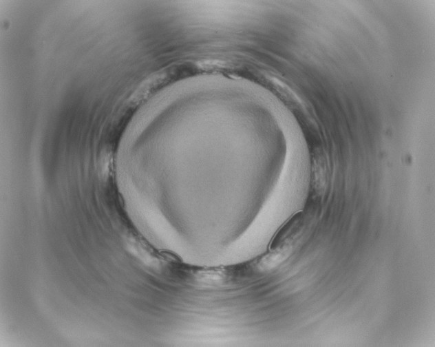 X0000088190574200706051210