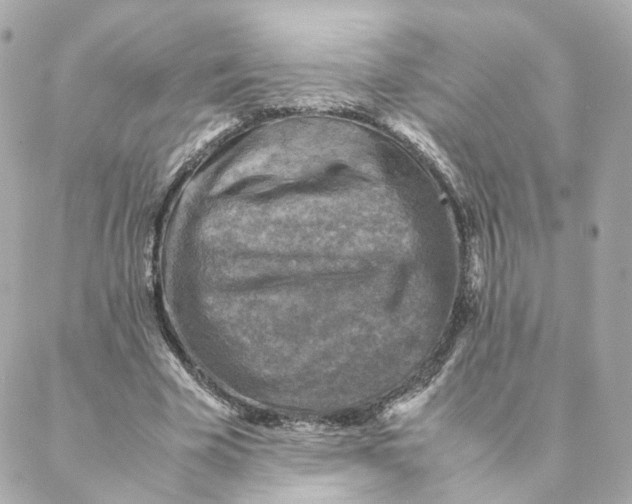 X0000088190585200706051209