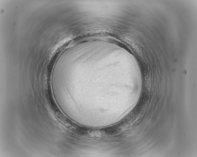 X0000088190587200706051209