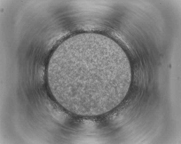 X0000088190592200706051209