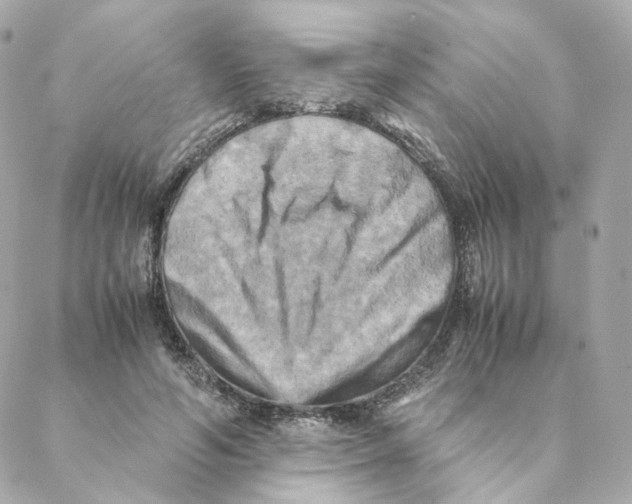 X0000088190594200706051209