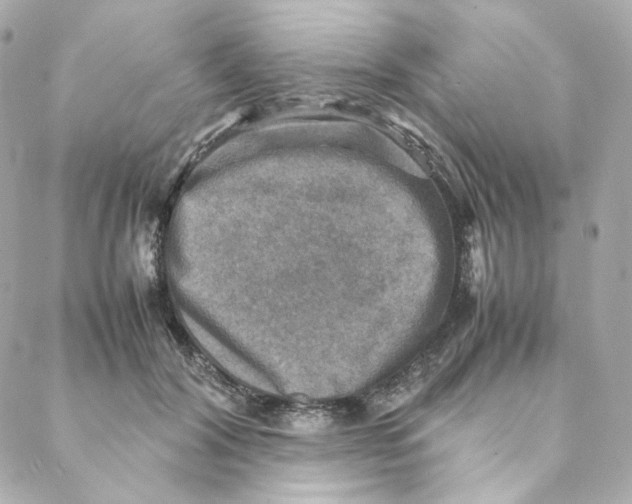 X0000088190604200706051208
