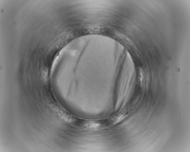 X0000088190610200706051208