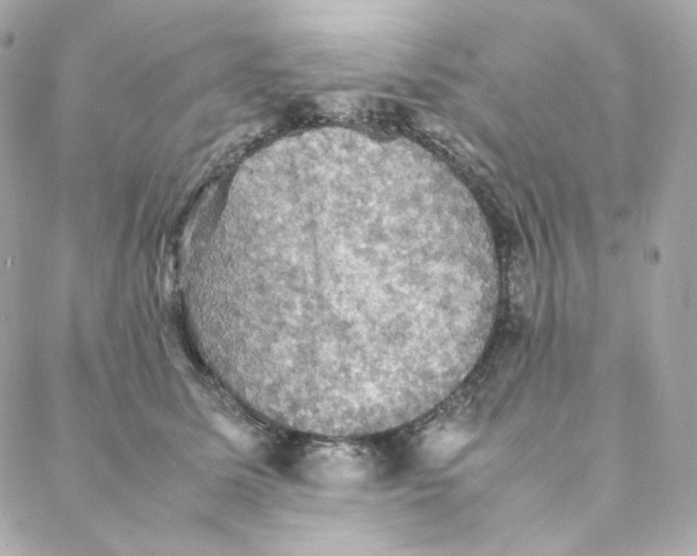 X0000088190611200706051208