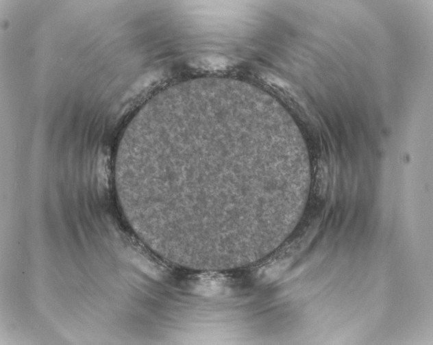 X0000088190612200706051208