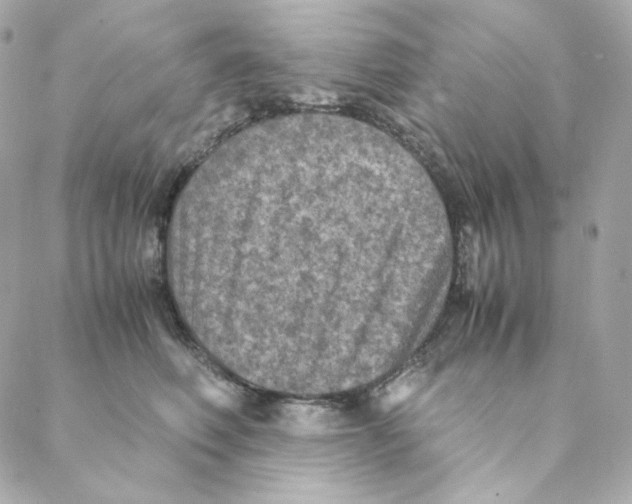 X0000088190614200706051208