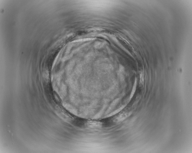 X0000088190617200706051208