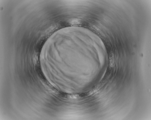 X0000088190618200706051208