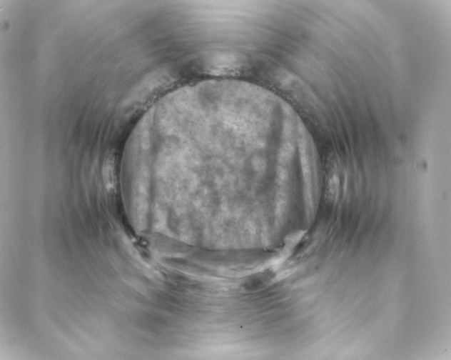 X0000088190620200706051208