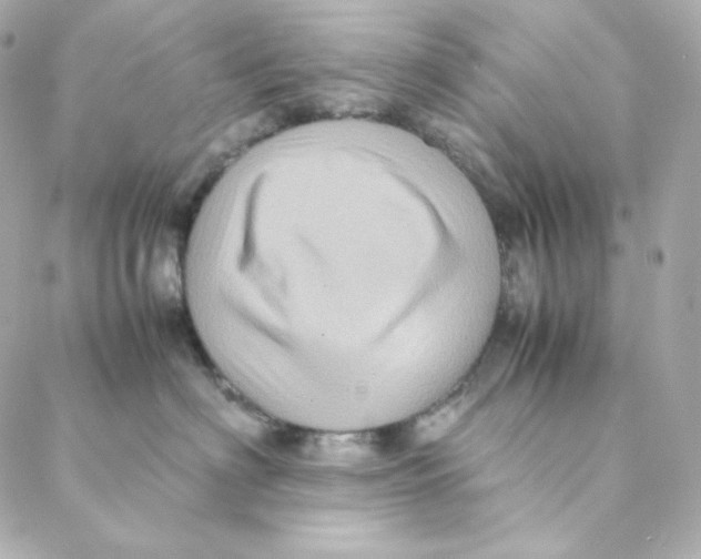 X0000088190622200706051208