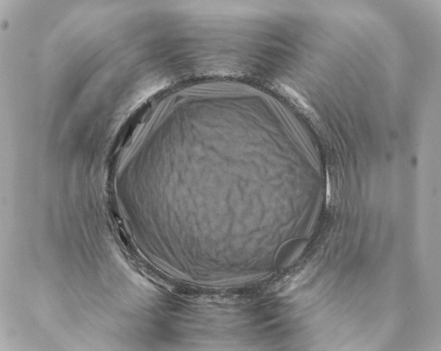 X0000088190627200706051207