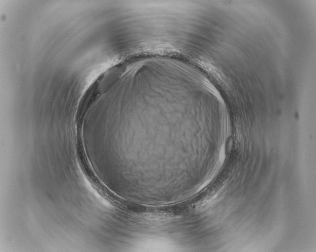 X0000088190630200706051207