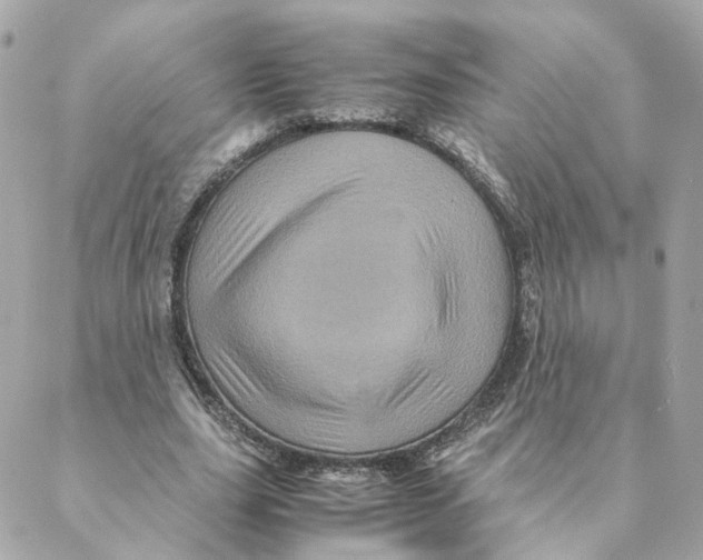 X0000088190631200706051207