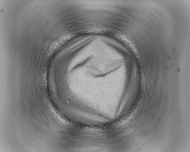 X0000088190633200706051207