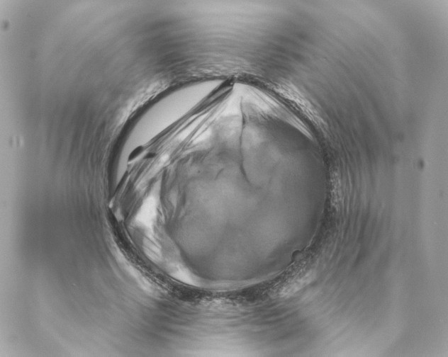 X0000088190634200706051207