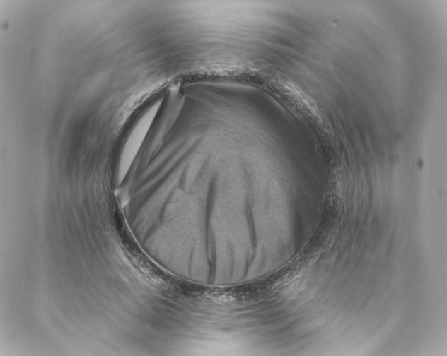 X0000088190640200706051208