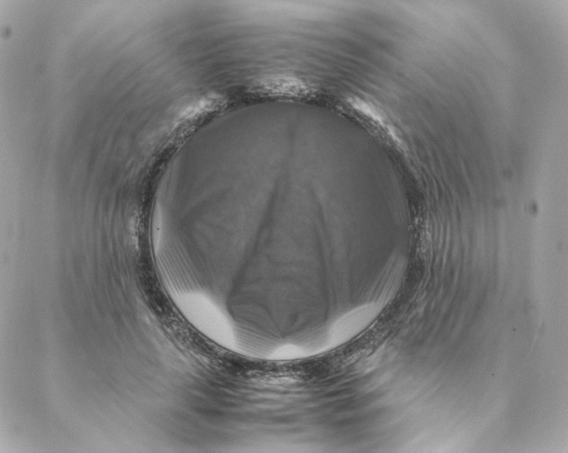 X0000088190643200706051208