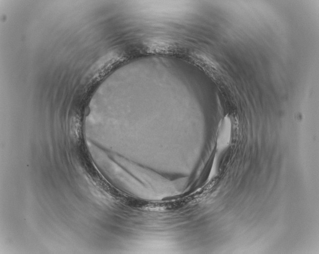 X0000088190648200706051208