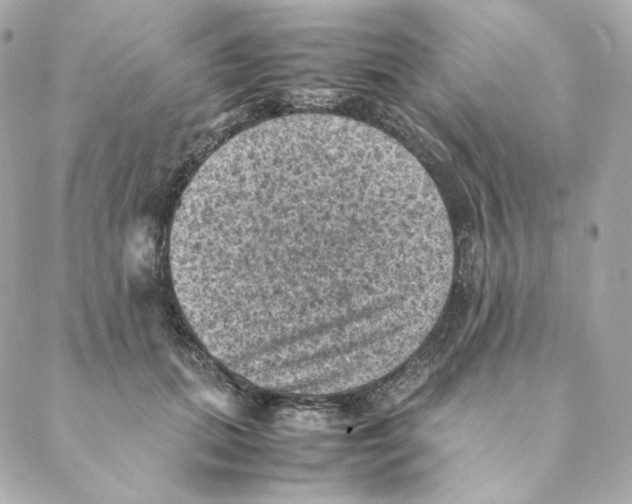 X0000088190655200706051208