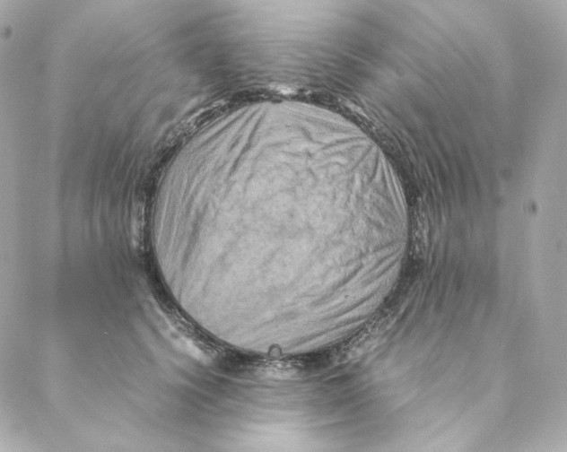 X0000088190656200706051208