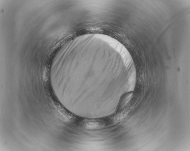 X0000088190658200706051208