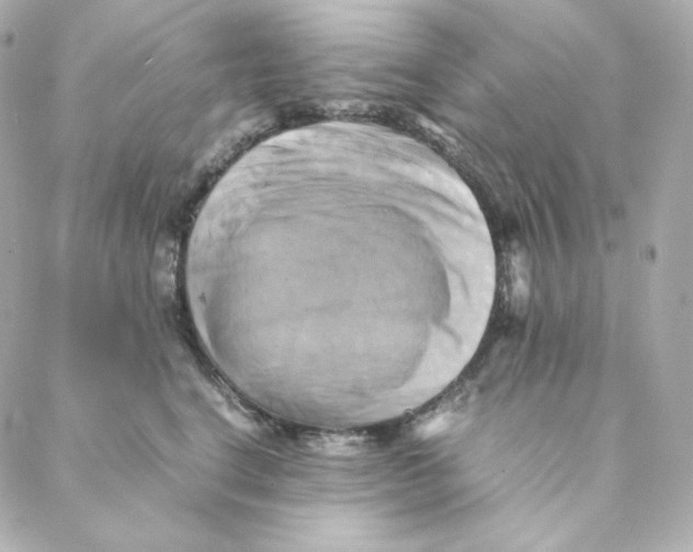 X0000088190664200706051208