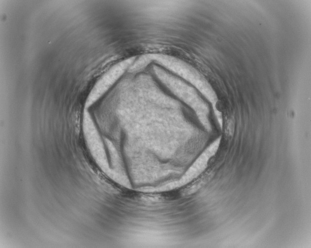 X0000088190666200706051208