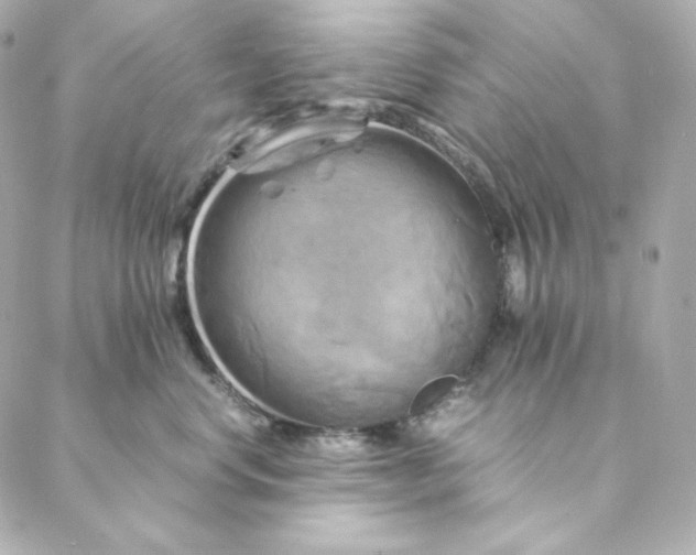 X0000088190668200706051208