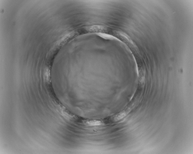 X0000088190669200706051208