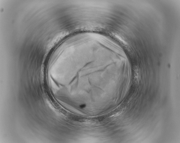 X0000088190678200706051207