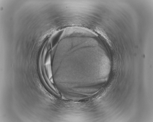 X0000088190681200706051207