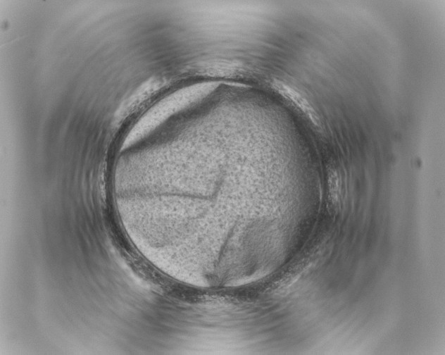X0000088190682200706051207
