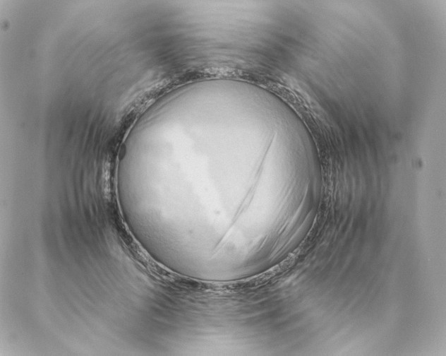 X0000088190696200706051207