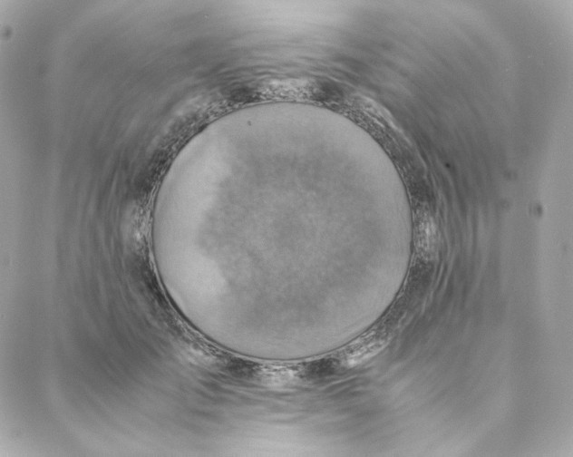 X0000088190701200706051207