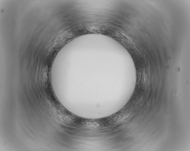 X0000088190702200706051207