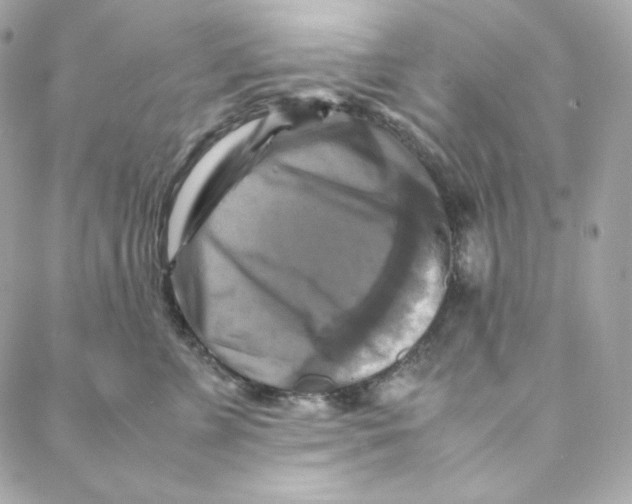 X0000088190715200706051207