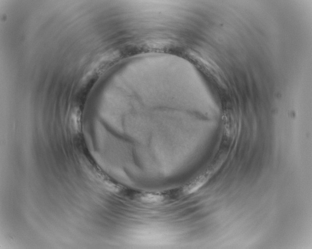 X0000088190718200706051207