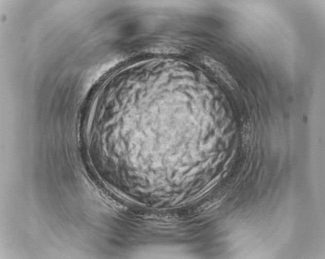 X0000088190727200706051206