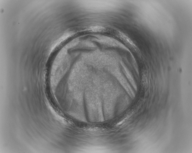 X0000088190730200706051206