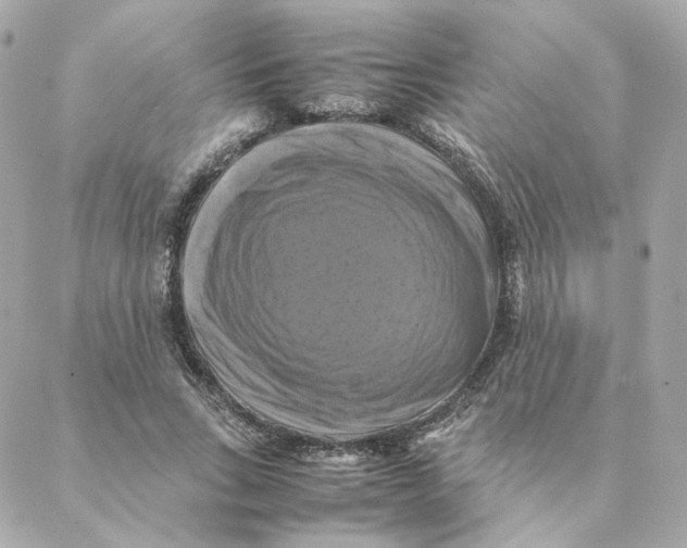 X0000088190735200706051206