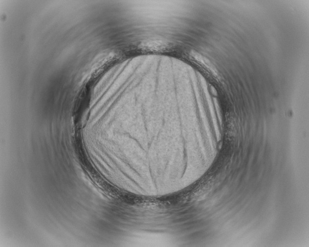 X0000088190738200706051206