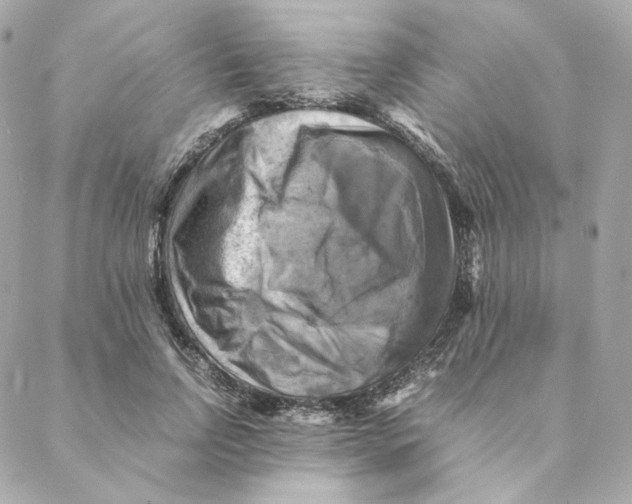 X0000088190742200706051206